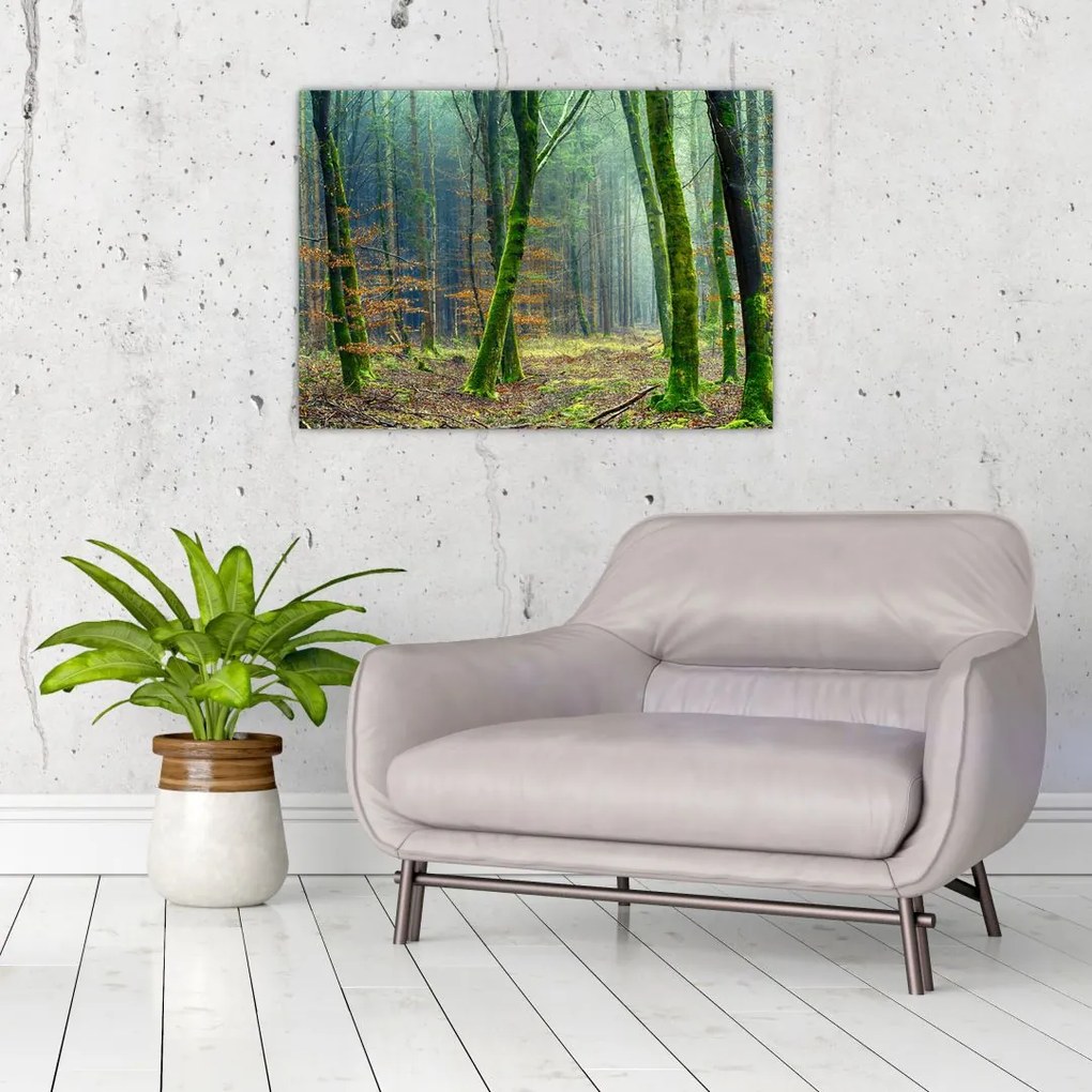 Tablou cu pădure (70x50 cm)