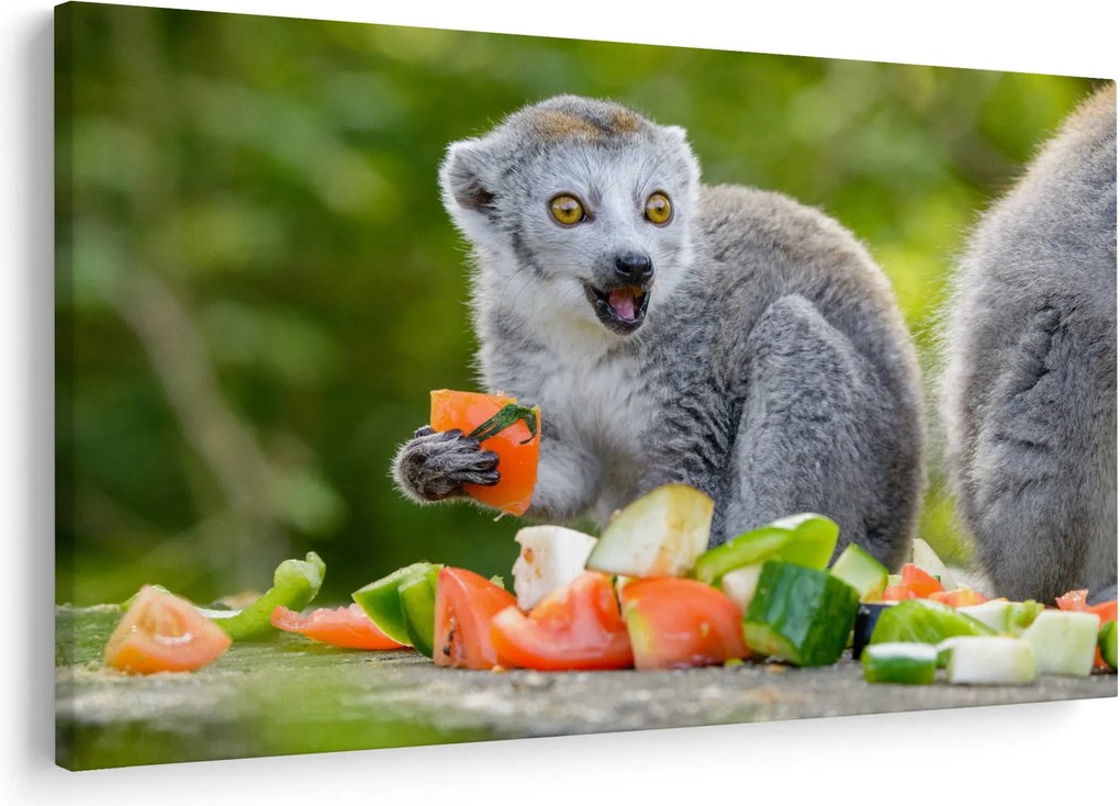 Tablou cu lemur (90x60 cm)