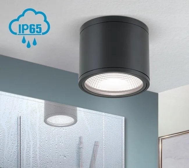 Spot LED aplicat cu protectie la umiditate IP65, SPUTNIK 14,5cm, negru