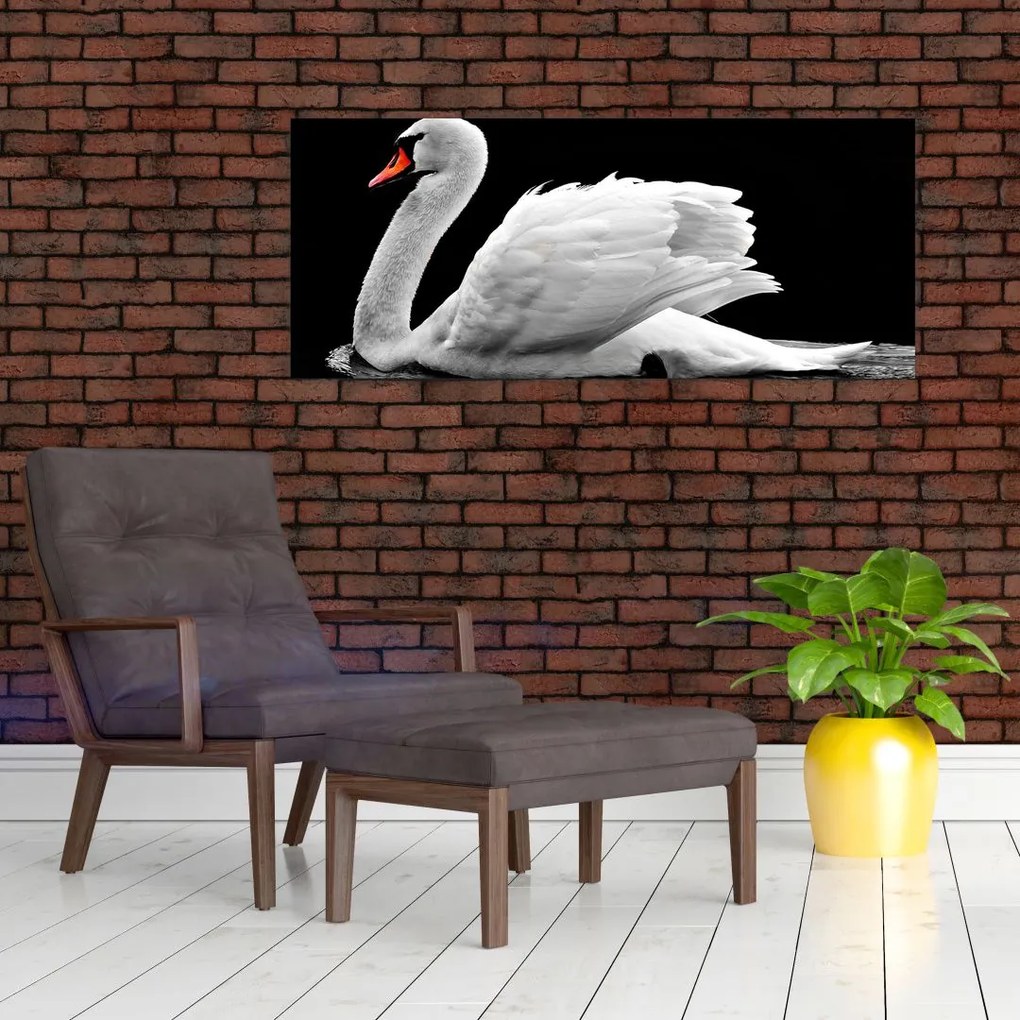 Tablou cu lebăda alb neagră (120x50 cm)