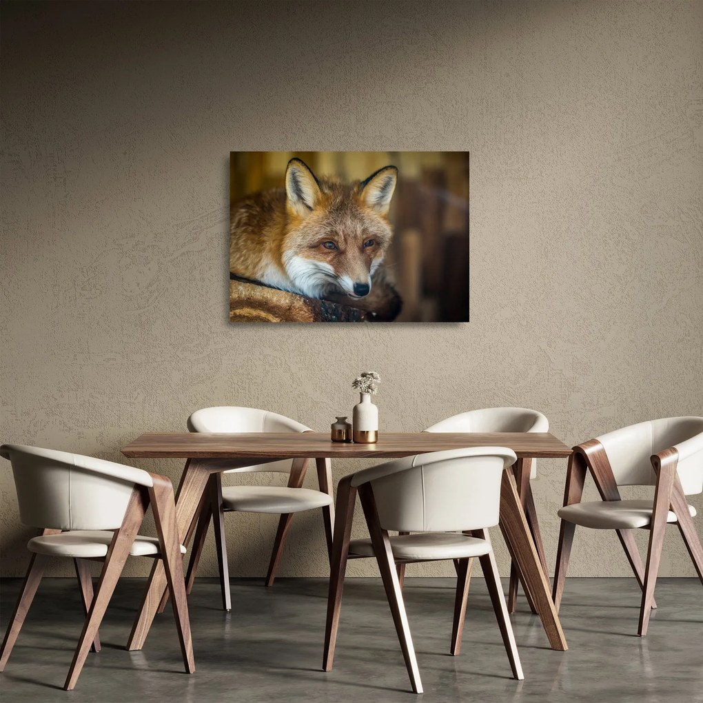 Tablou pe sticlă cu vulpe (70x50 cm)