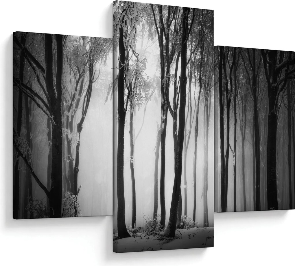 Tablou - Lup în pădurea întunecată (90x60 cm)