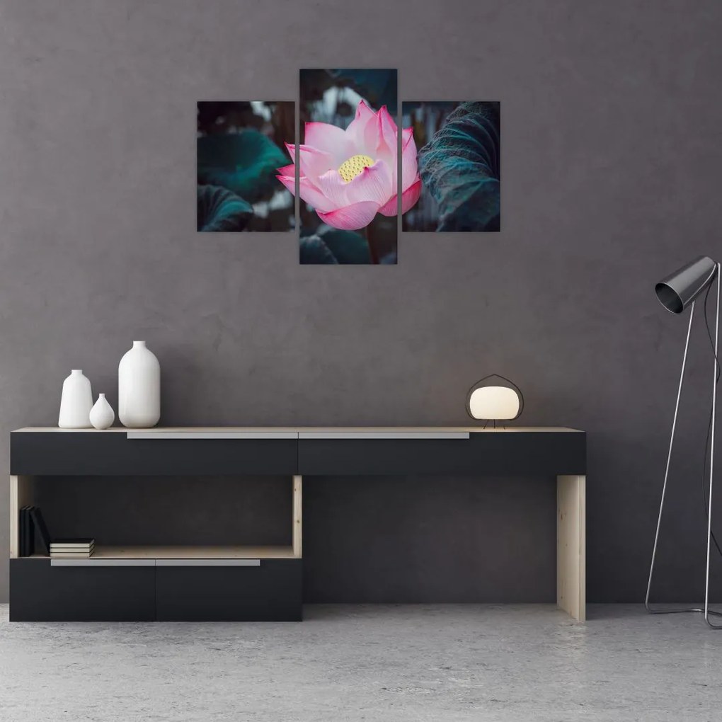Tablou cu floare roz (90x60 cm)