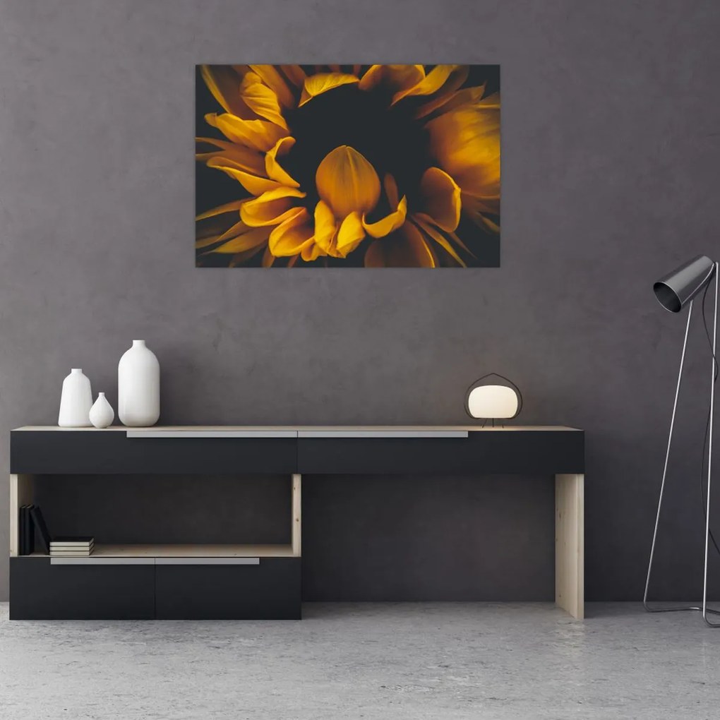 Tablou - Floarea-soarelui în fundal negru (90x60 cm)