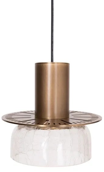 Lustră LED pe cablu MAXLIGHT P0530 SIGNATURE LED/8W/230V d. 15 cm alamă/transparent