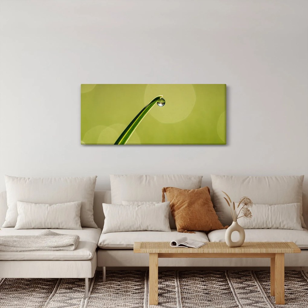 Tablou cu picătură de apă pe iarbă (120x50 cm)
