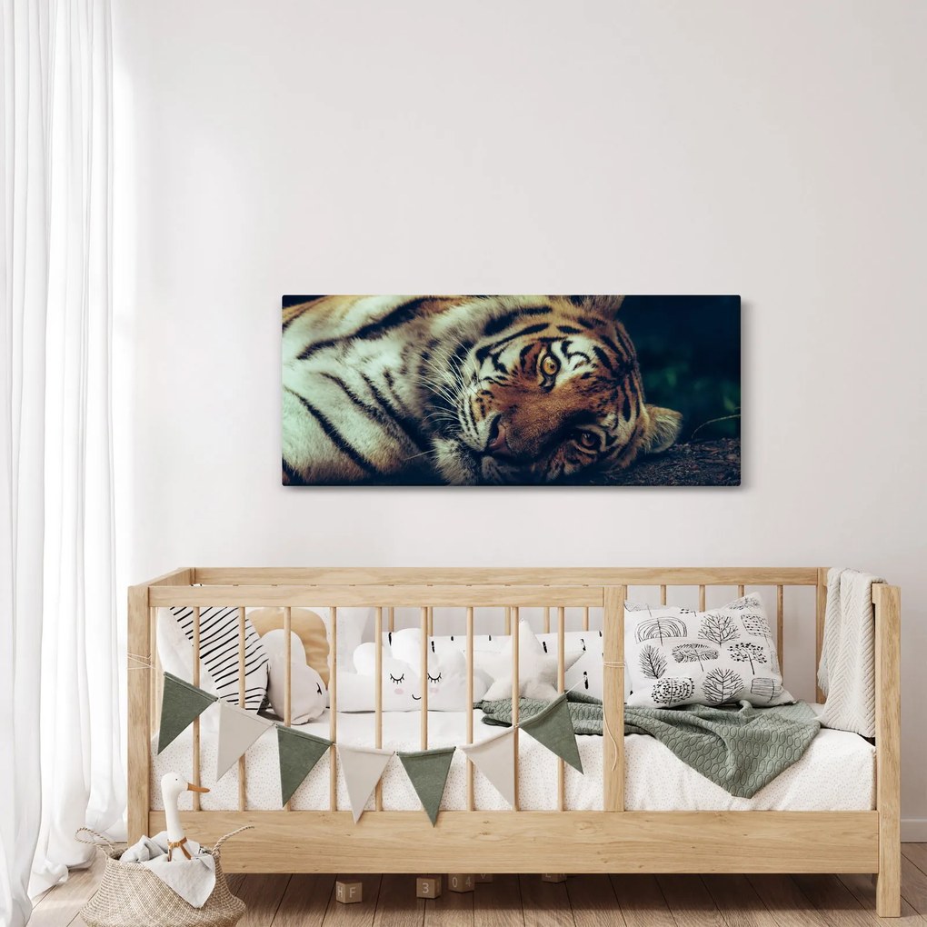 Tablou - Tigrul Siberian (120x50 cm)