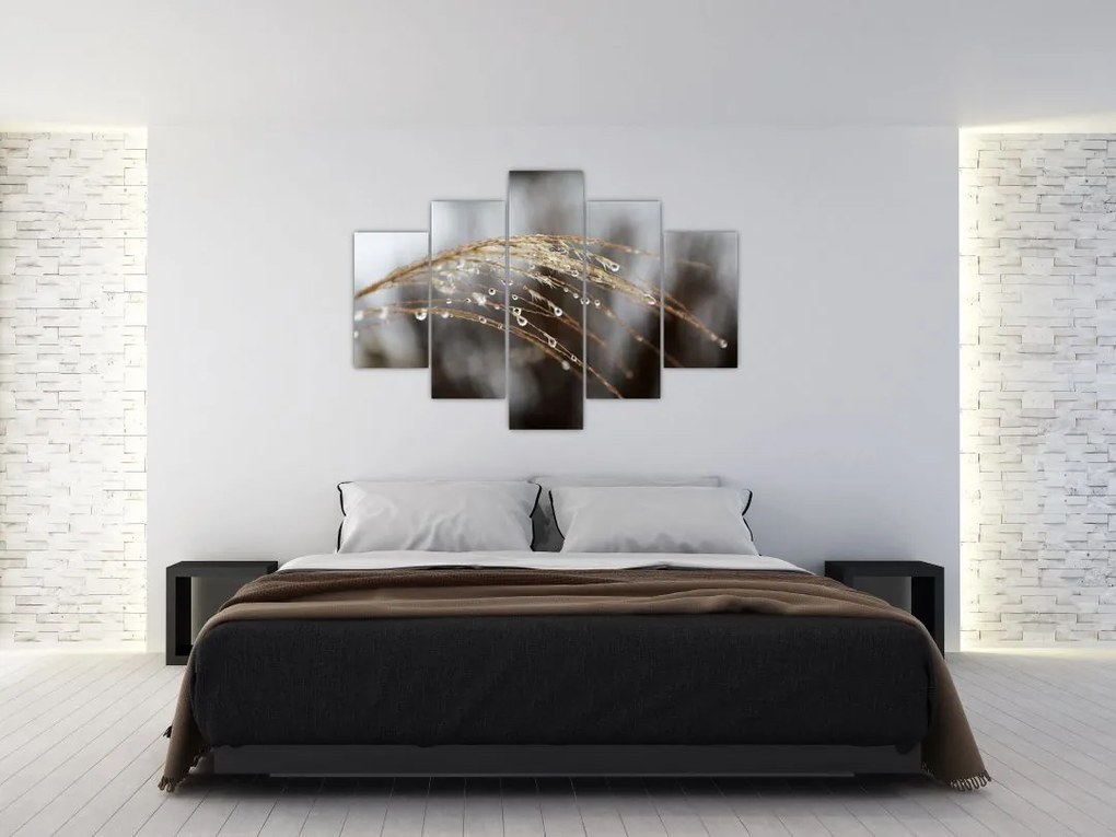 Tablou - Picături pe plantă (150x105 cm)