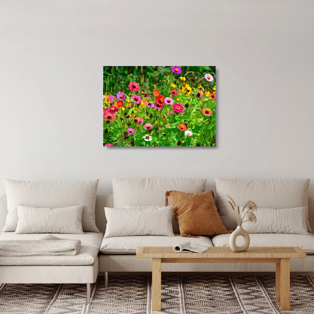 Tablou pe sticlă cu flori de luncă (70x50 cm)
