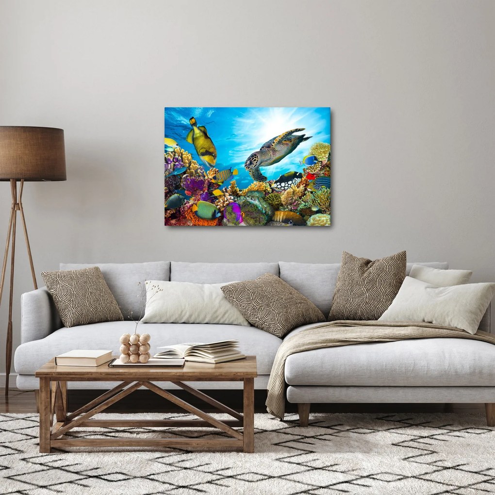 Tablou - Recif de corali (70x50 cm)