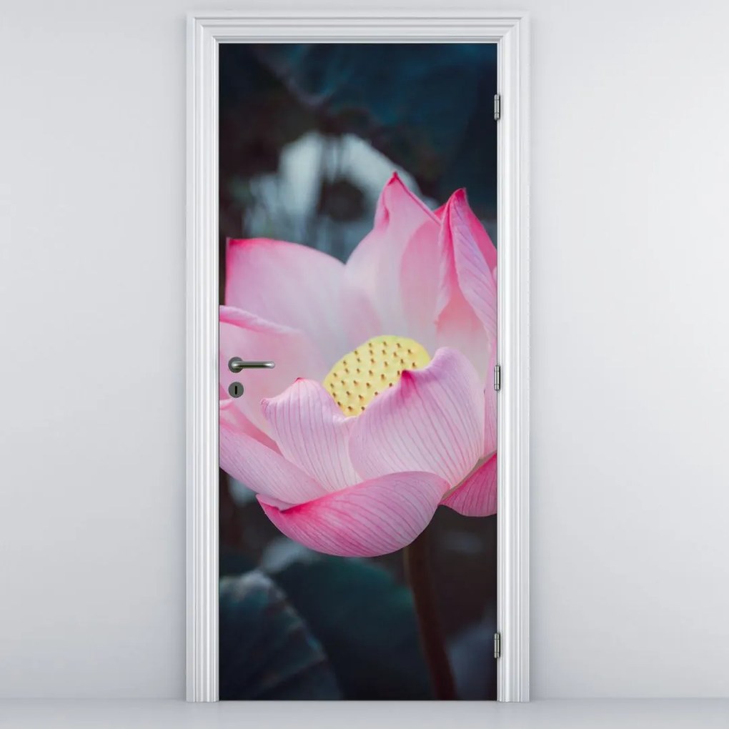 Fototapet pentru ușă - Flori roz (95x205cm)