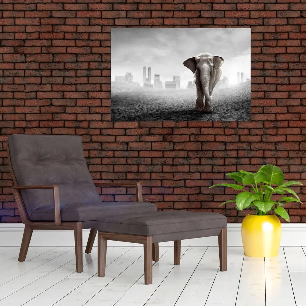 Tablou - Elefanți în oraș, versiunea alb-negru (90x60 cm)