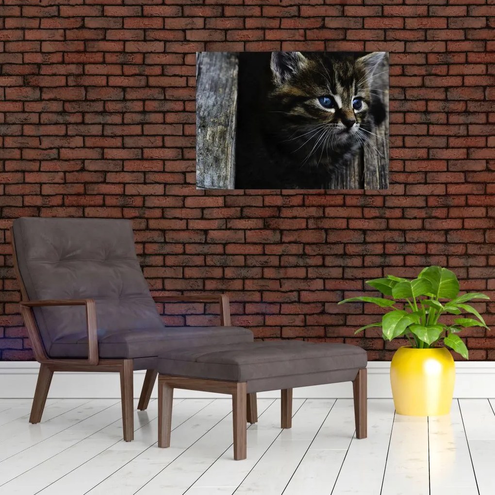 Tablou pe sticlă cu pisicuța (70x50 cm)