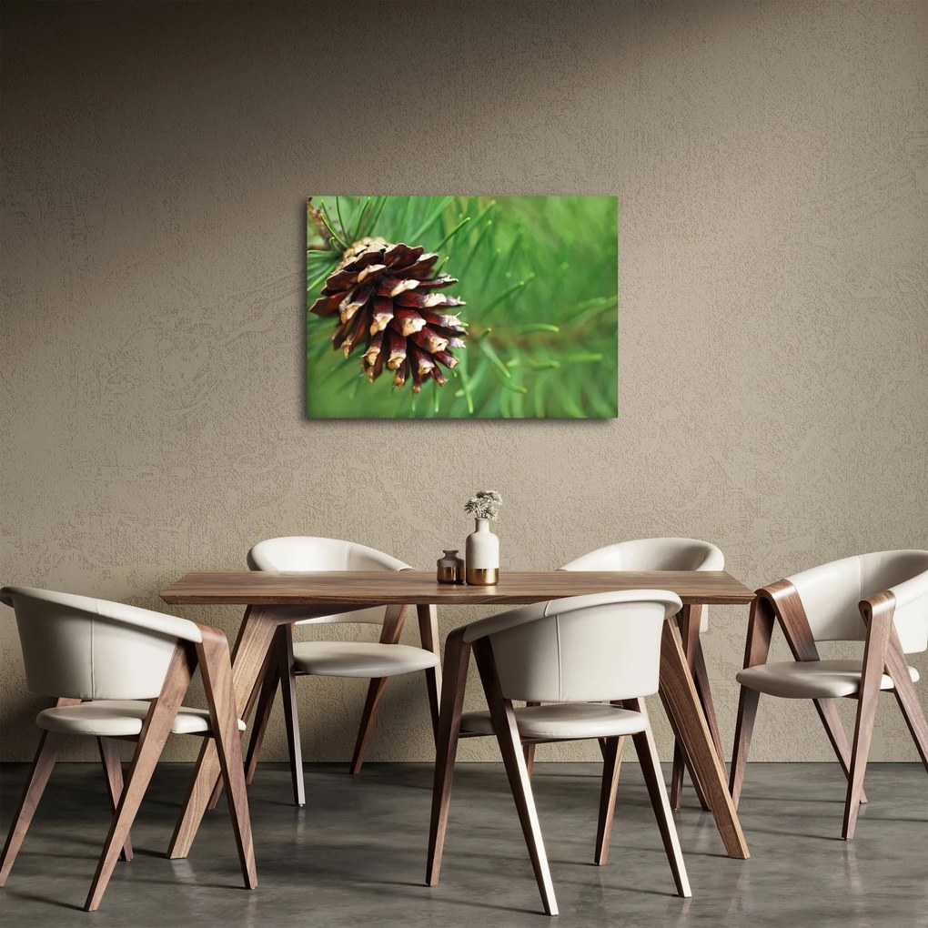 Tablou cu con (70x50 cm)
