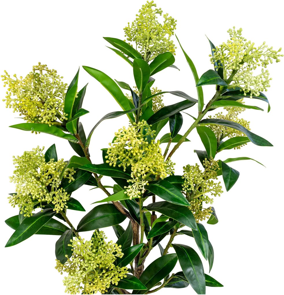 Copac Stalina (verde). Promo -9%. 1147558