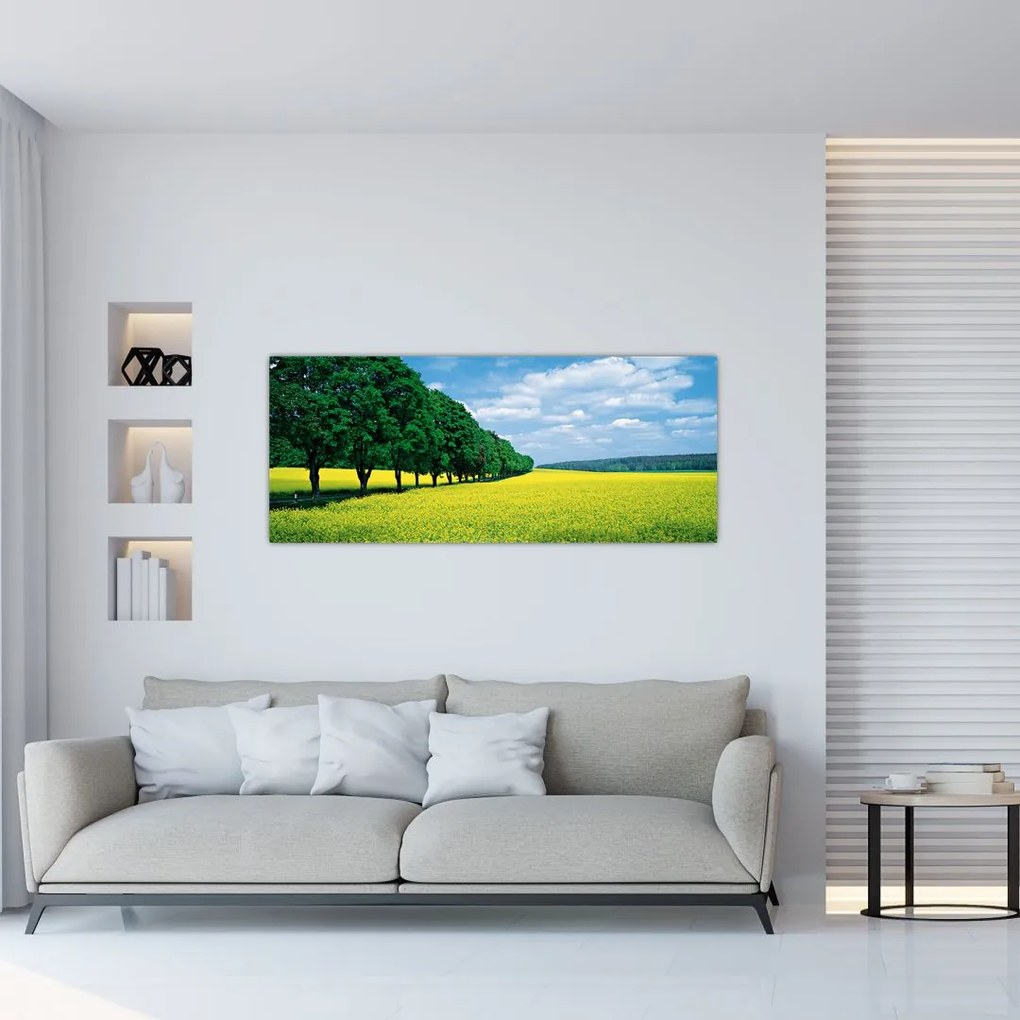 Tablou - Câmp cu alei (120x50 cm)