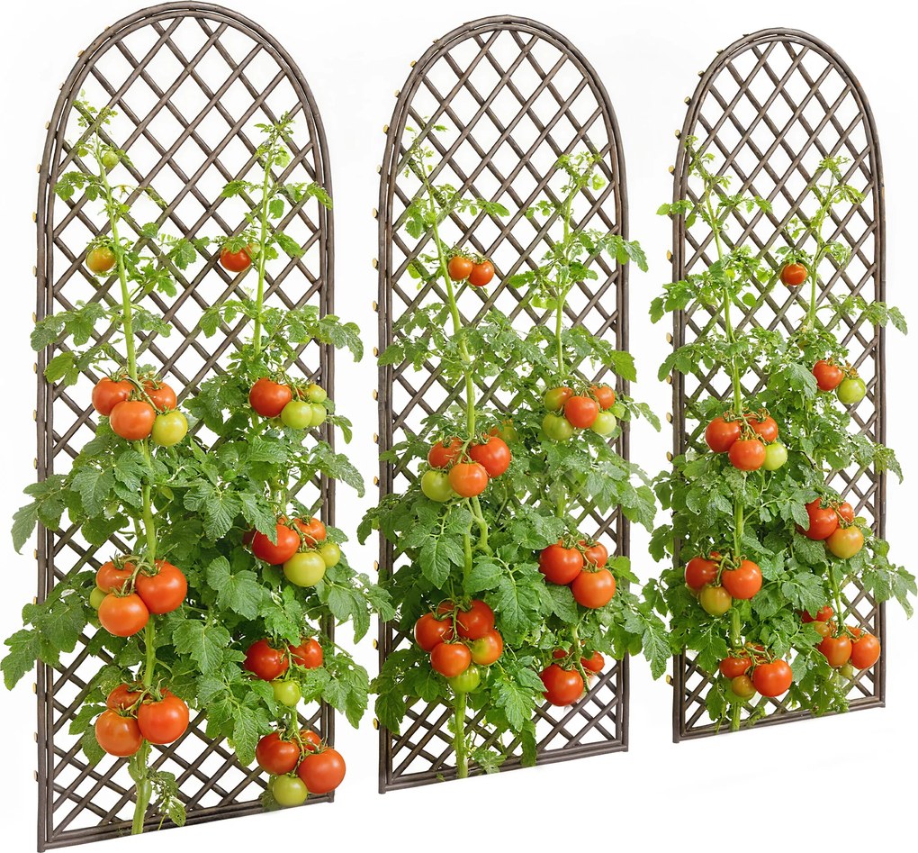 Outsunny Set de 3 spalieri de grădină din nuiele împletite Panou Arc pentru Plante cățărătoare 43 x 2 x 112 cm, efect lemn natural | Aosom Romania