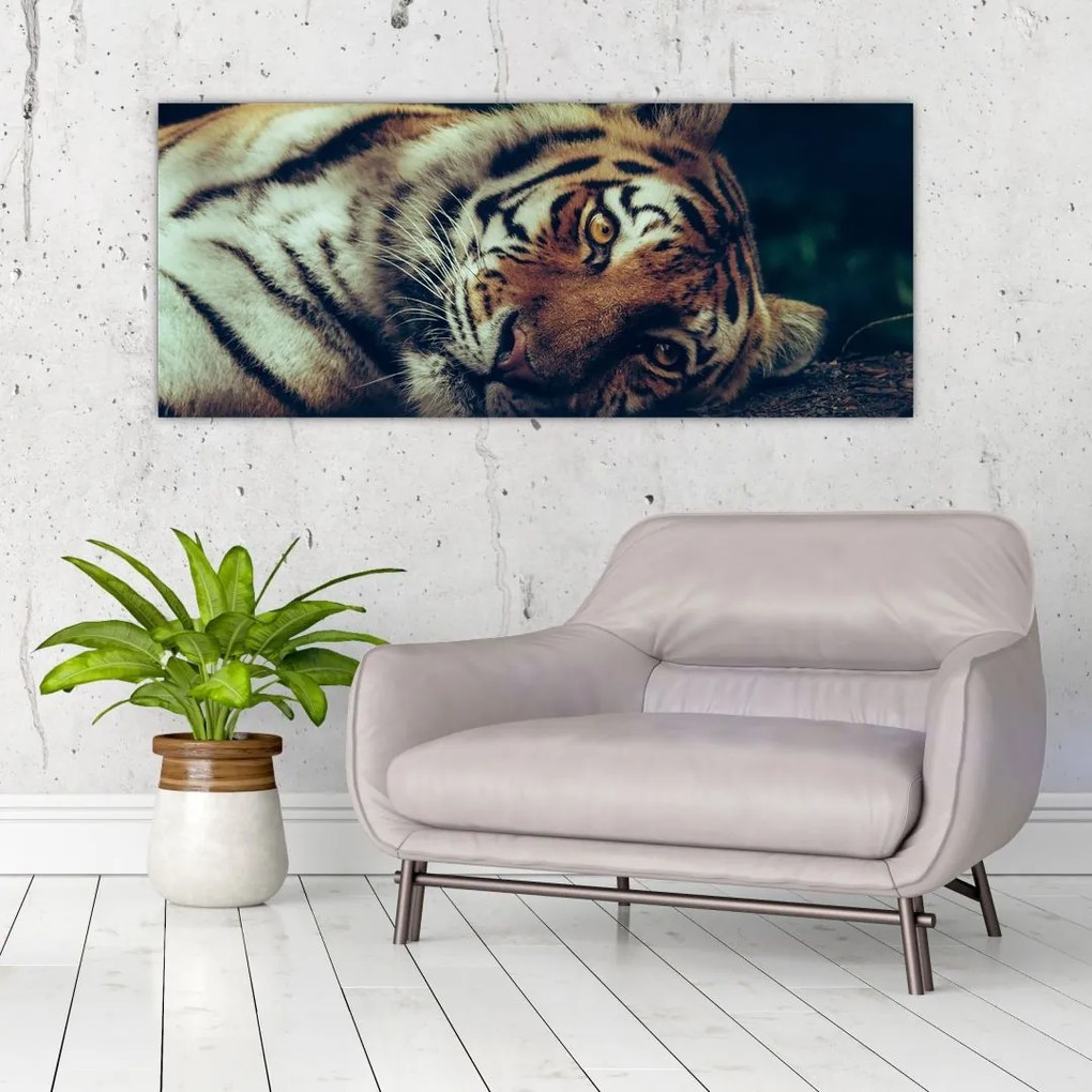 Tablou - Tigrul Siberian (120x50 cm)
