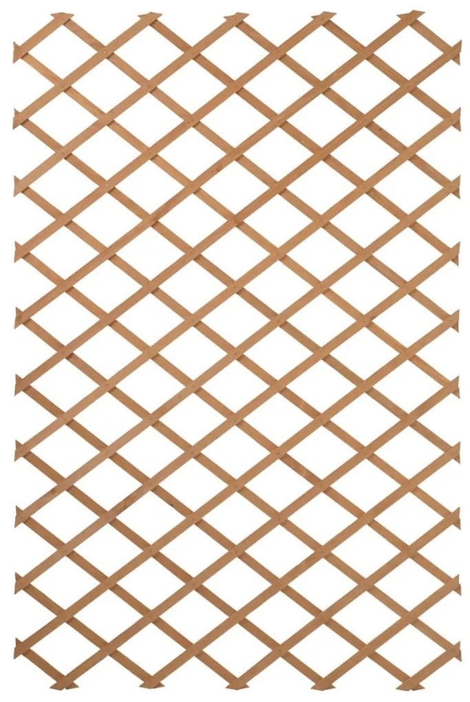 Nature Spalier de gradina, natural, 50 x 150 cm, lemn