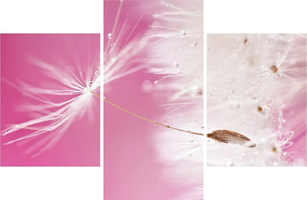 Tablou - Floare macro (90x60 cm)