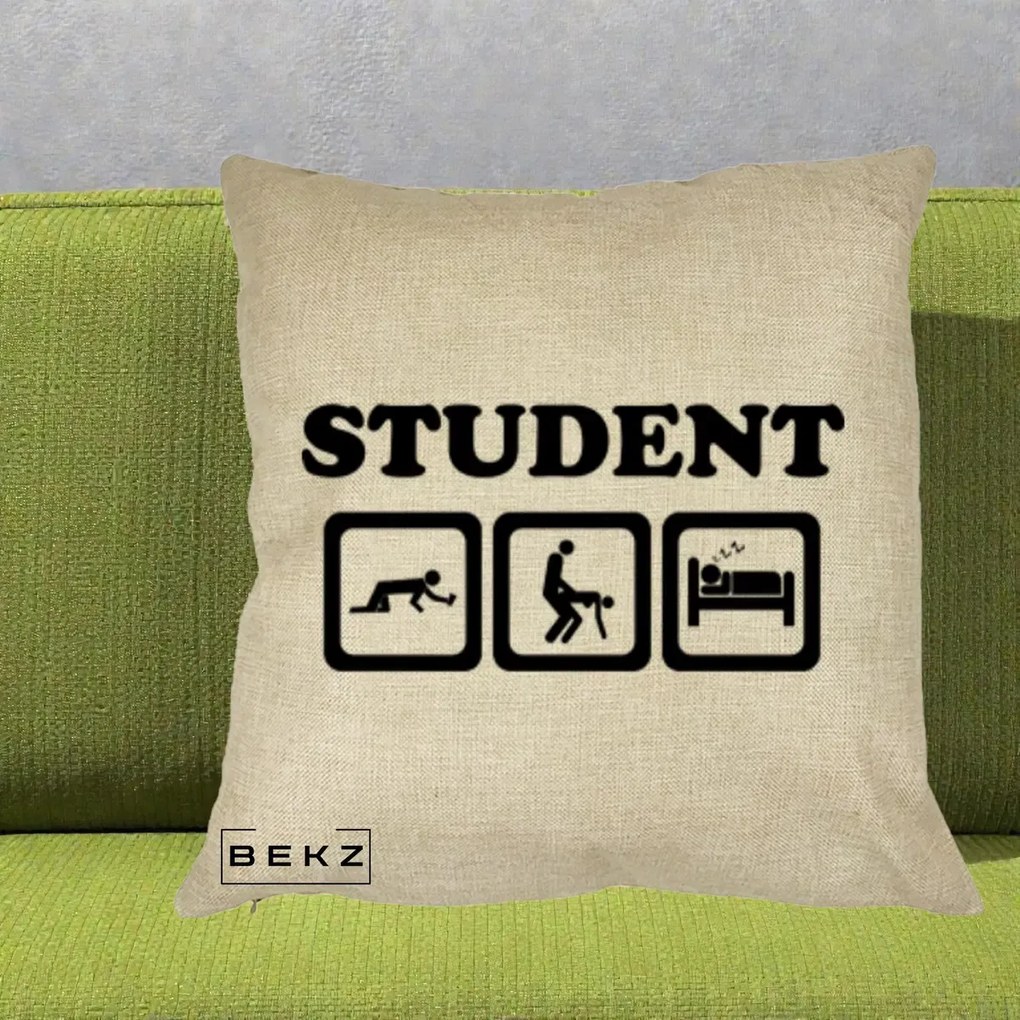 Perna Decorativa Student Life, 40x40 cm, Crem, Husa Detasabila, Perna Inclusa, BEKZ®