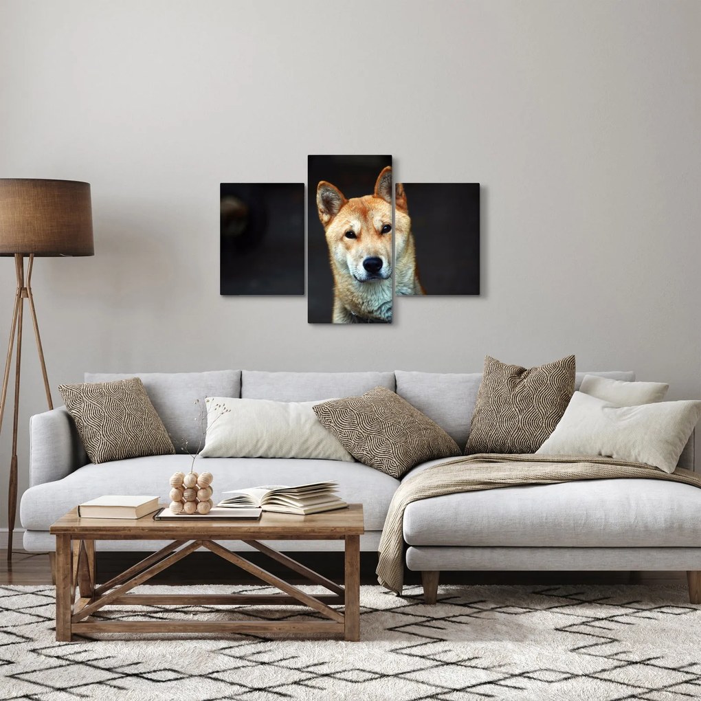 Tablou cu câine (90x60 cm)