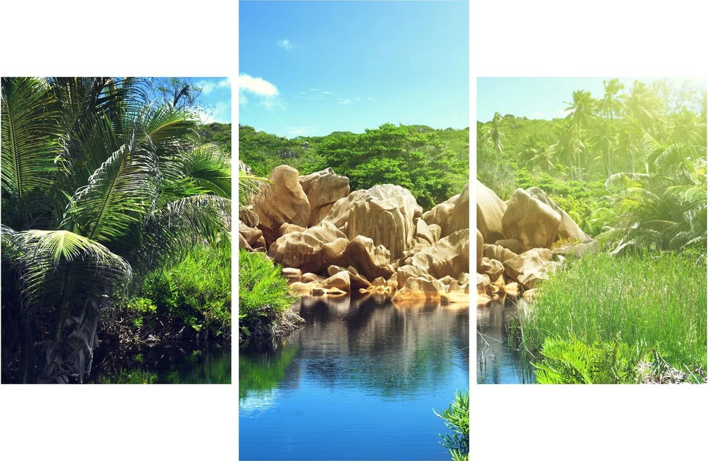Tablou cu lac în jungla din Seychelles (90x60 cm)