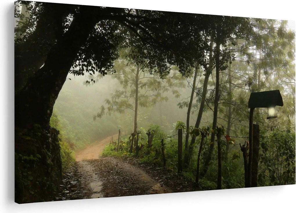 Tablou cu ceața de dimineața (90x60 cm)