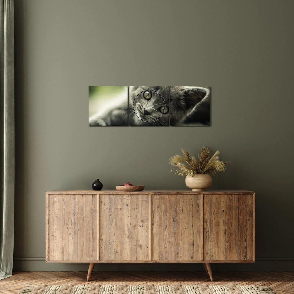 Tablou cu pisicuța (cu ceas) (90x30 cm)