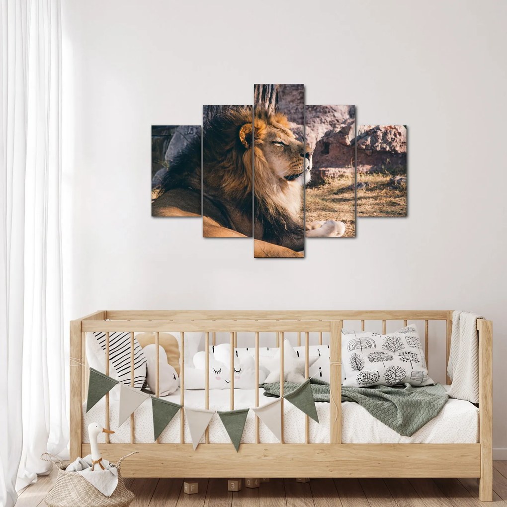 Tablou cu leul dormind (150x105 cm)
