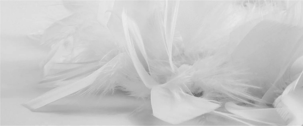 Tablou - Pene (120x50 cm)