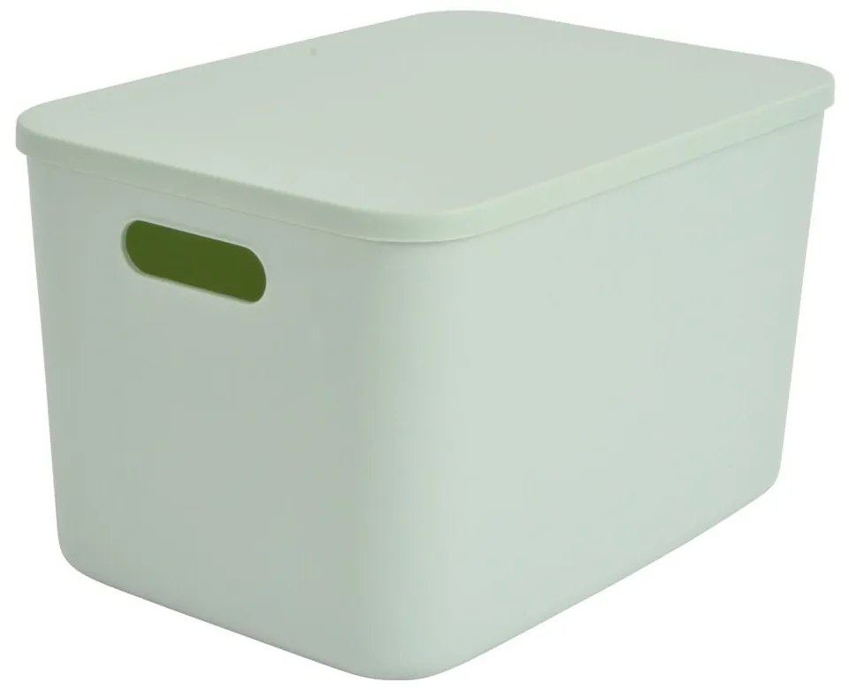 Cutie de depozitare verde-deschis din plastic cu capac 35,5x25,5x23 cm – Homéa