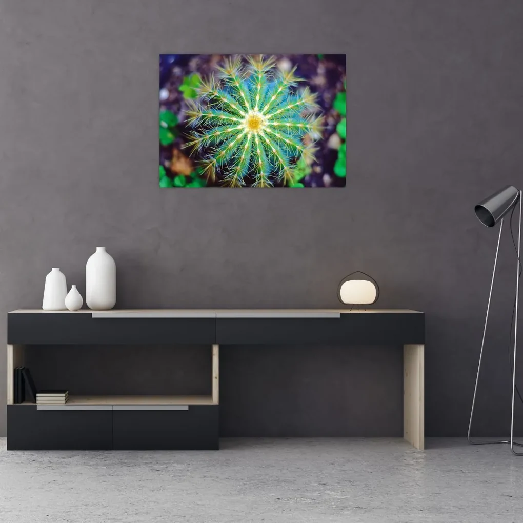 Tablou cu cactus (70x50 cm), în 40 de alte dimensiuni noi