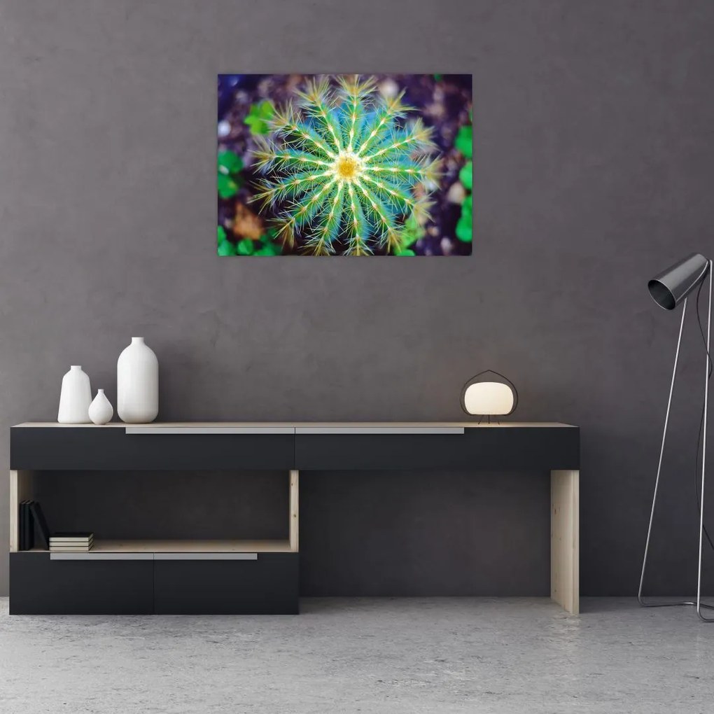 Tablou cu cactus (70x50 cm)