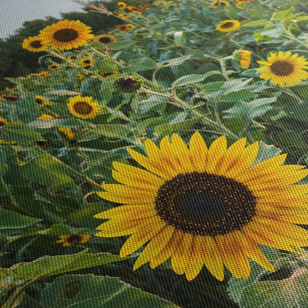 Tablou - Câmpul de floarea-soarelui II. (cu ceas) (90x30 cm)