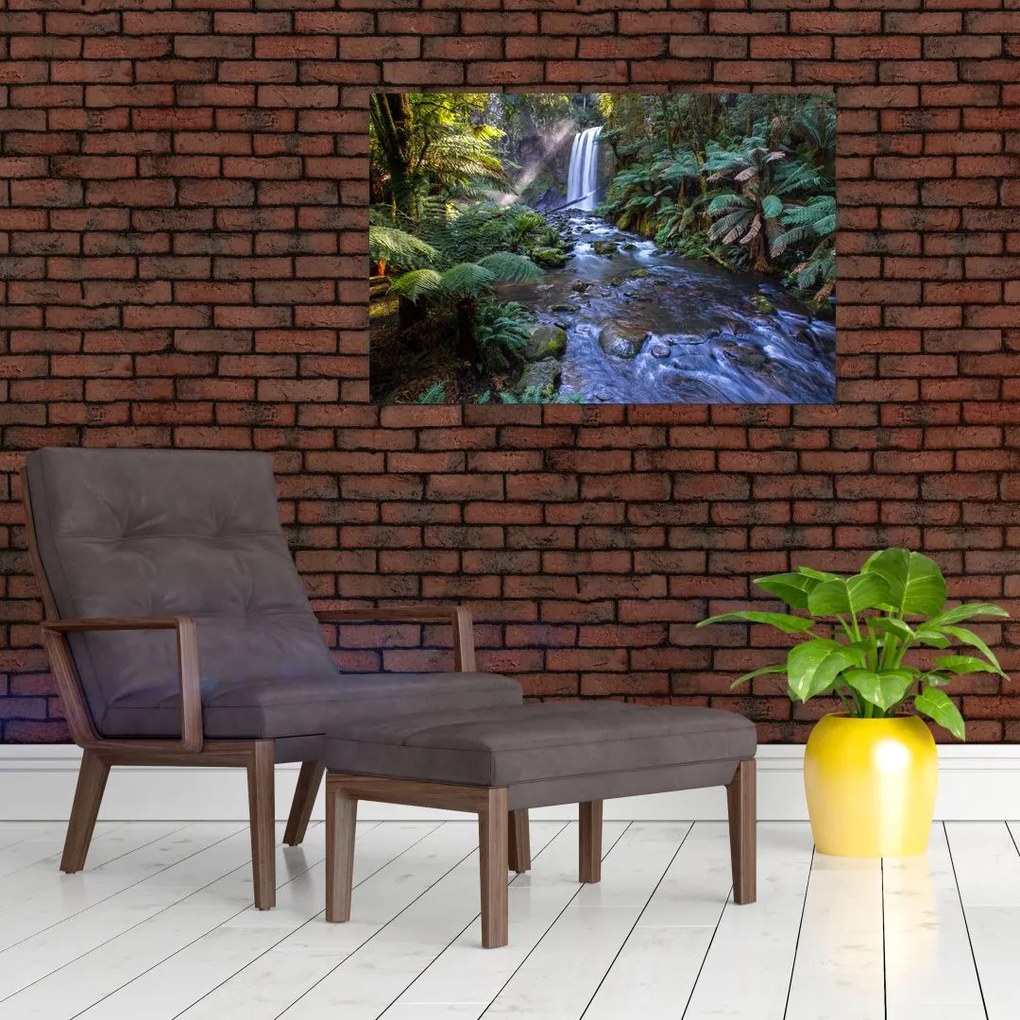 Tablou cu pădurea ploilor din Austalia (90x60 cm)
