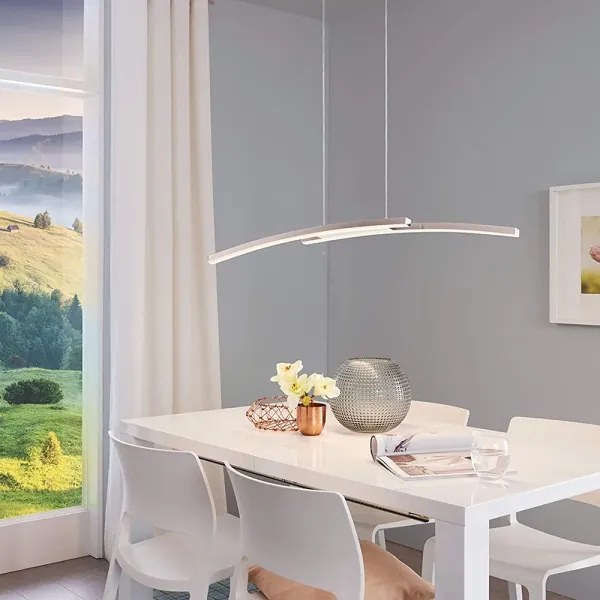 Eglo 97911 - Lustră LED RGB reglabilă, suspendată pe cablu FRAIOLI-C 2xLED/17W/230V