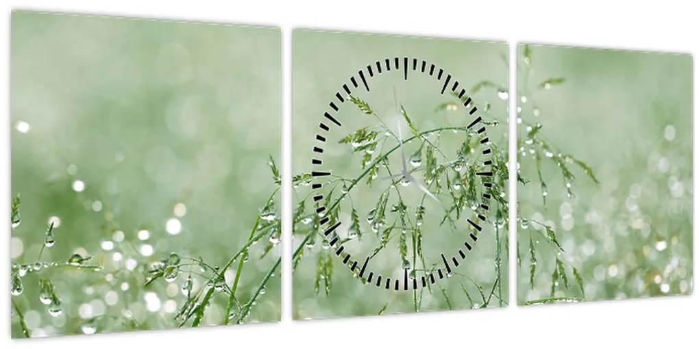 Tablou - Roua dimineții pe firele de iarbă (cu ceas) (90x30 cm)