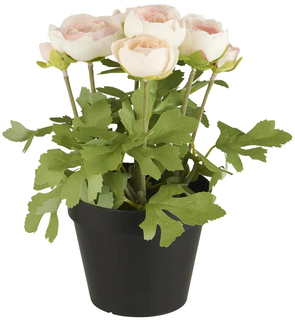 IB Laursen Ranunculus alb artificial in ghiveci