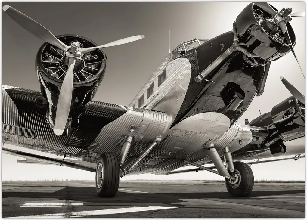 Tablou - Avioane istorice (70x50 cm)