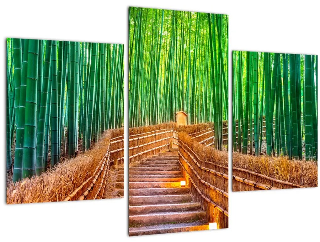 Tablou - Pădure de bambus japoneză (90x60 cm)