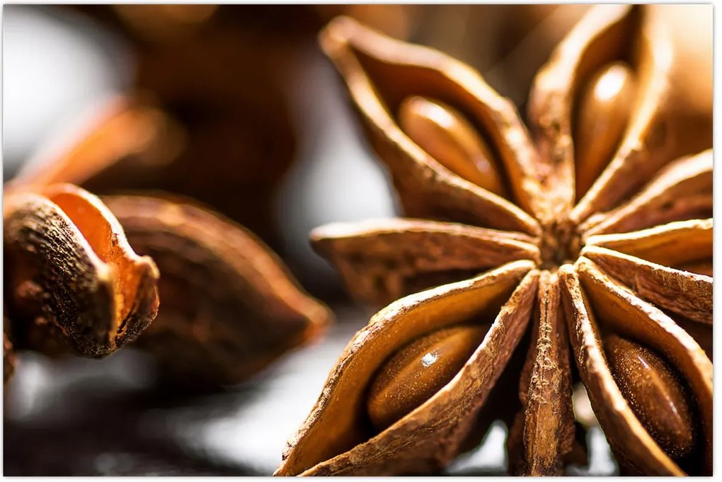 Tablou - Anason (90x60 cm)