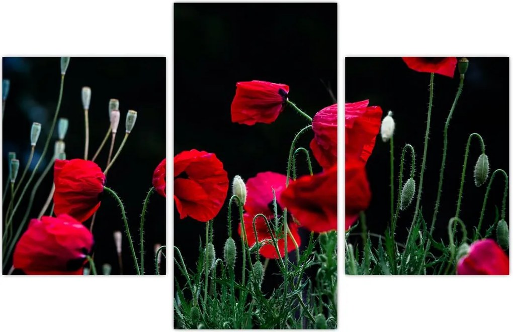 Tablou - Dansul macilor (90x60 cm)