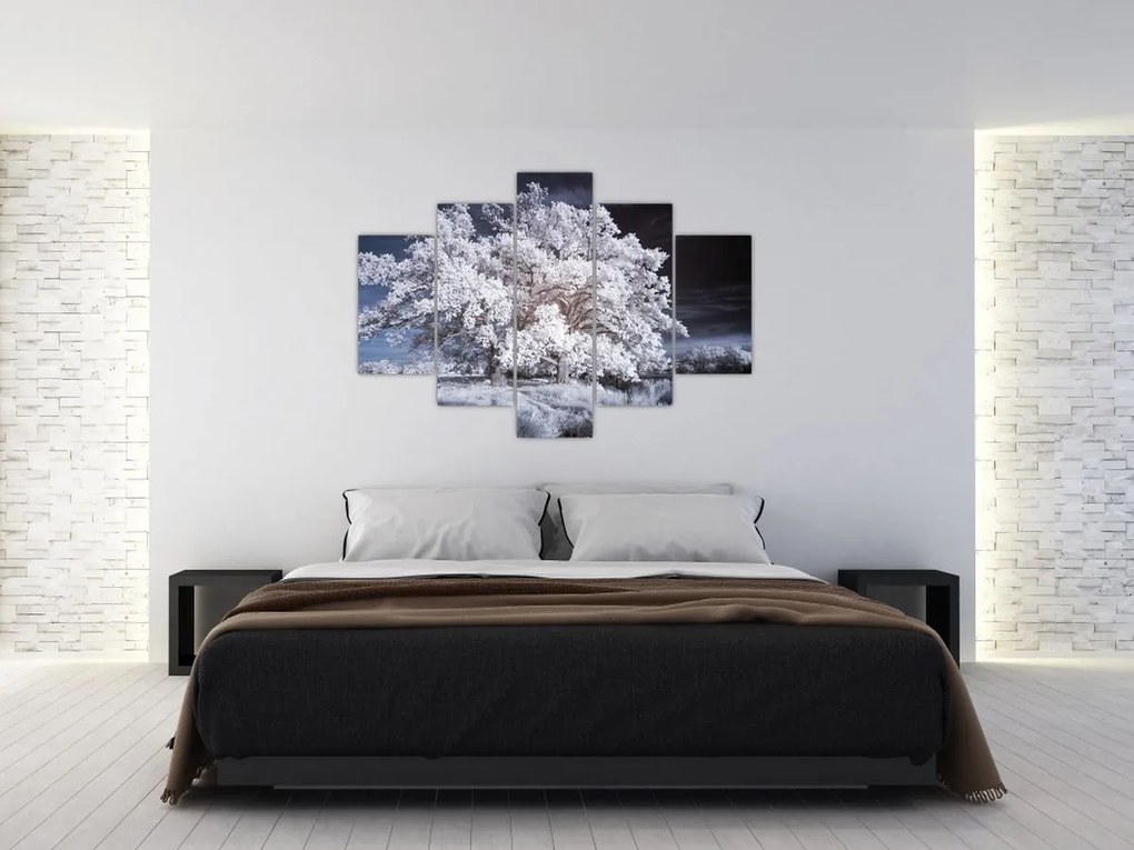 Tablou - Albă ca Zăpada Copac (150x105 cm)