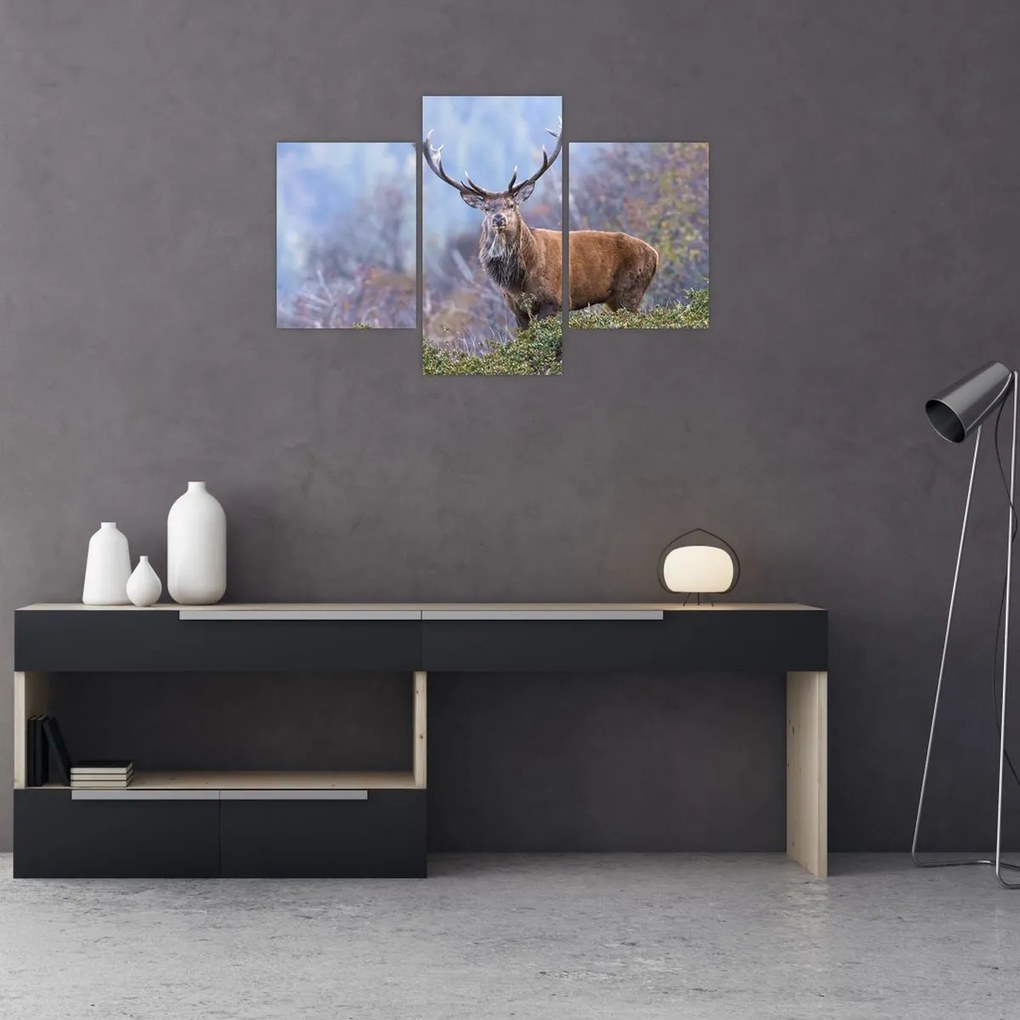 Tablou - Cerb în peisaj (90x60 cm)