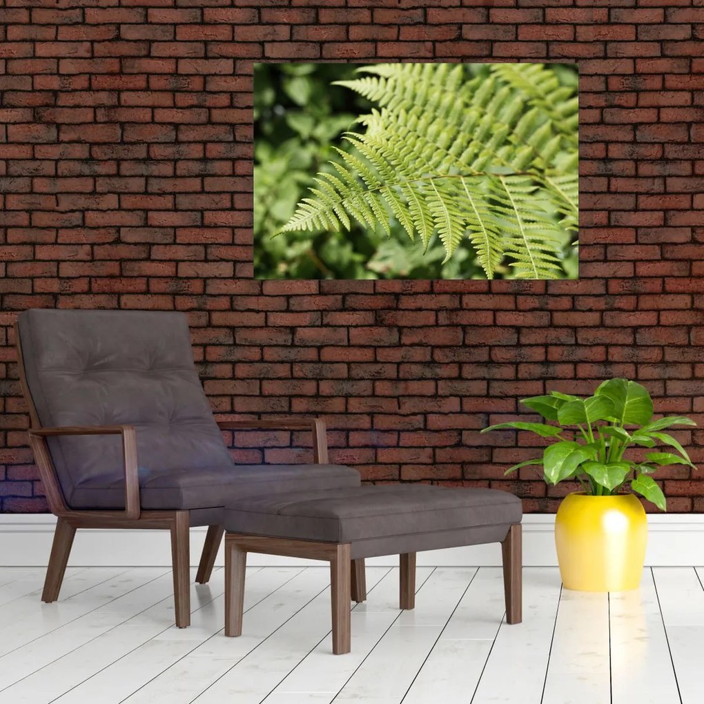 Tablou - Frunză de ferigă (90x60 cm)