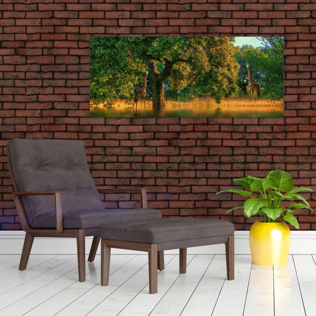 Tablou cu girafe în natură (120x50 cm)
