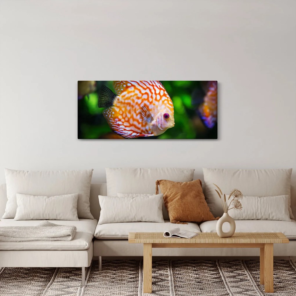 Tablou cu pește (120x50 cm)