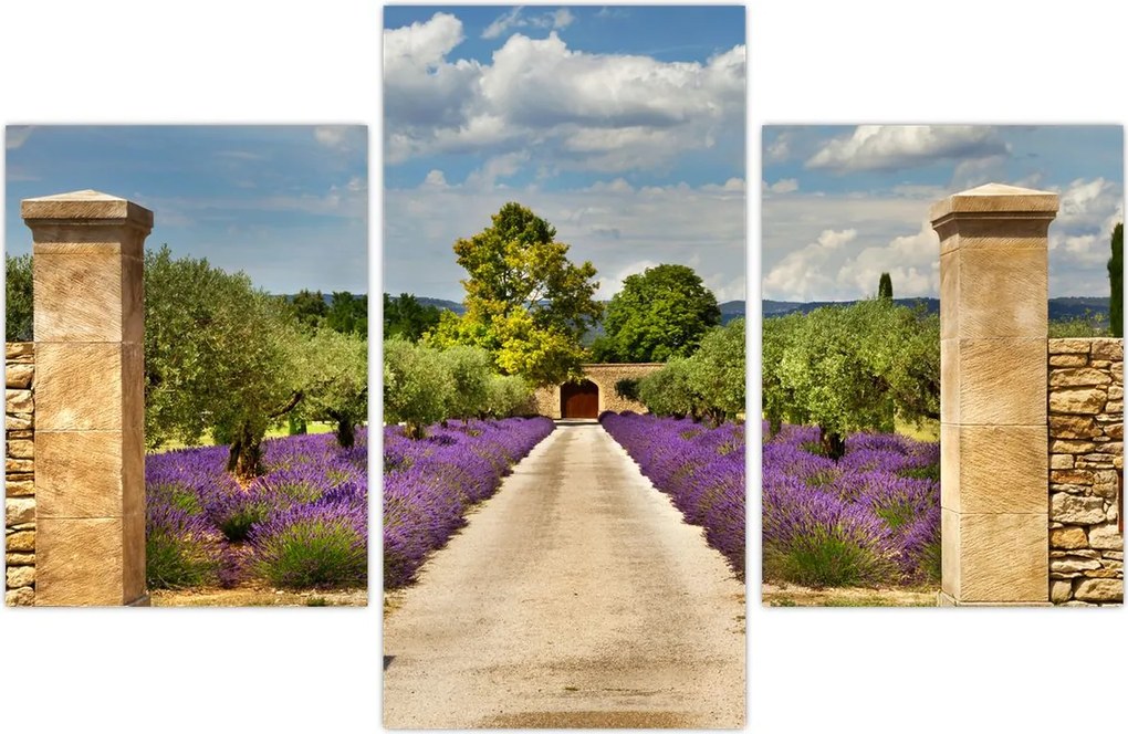 Tablou - Căi de lavandă (90x60 cm)