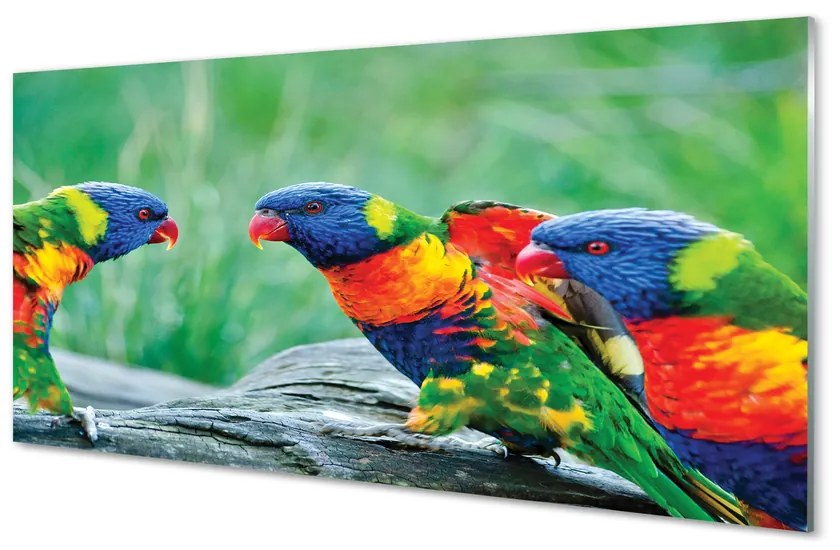 Panouri de sticlă copac papagal colorat
